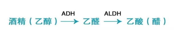 喝酒致癌的真相是什么？乙醛致癌太可怕