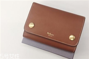 mulberry錢包多少錢？celine平價(jià)替代