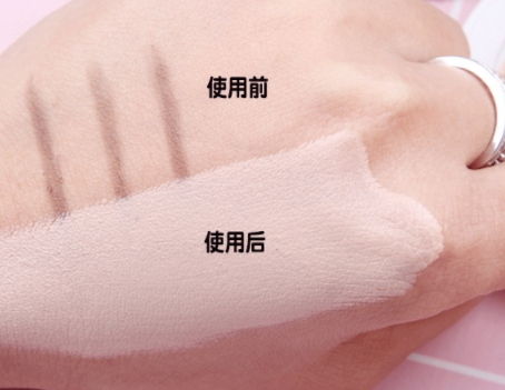 perfect skin雪花磁石氣墊有替換裝嗎？