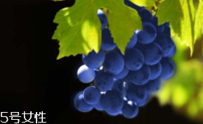 葡萄籽補(bǔ)劑要不要買(mǎi)？不如早睡早起