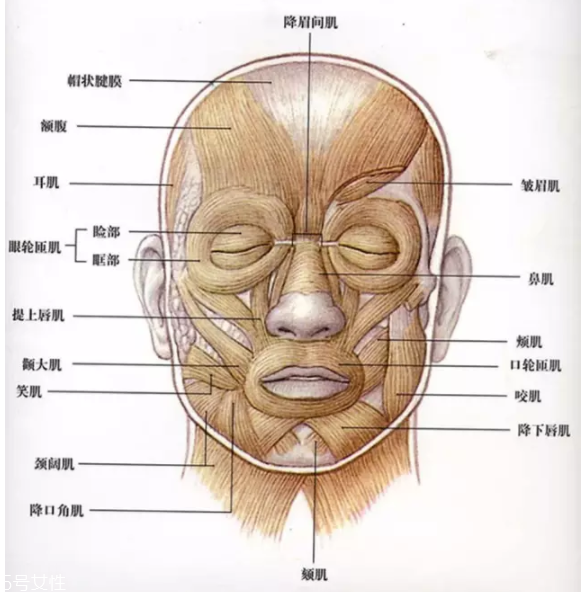 法令紋怎么去除？最有效的方法是醫(yī)美