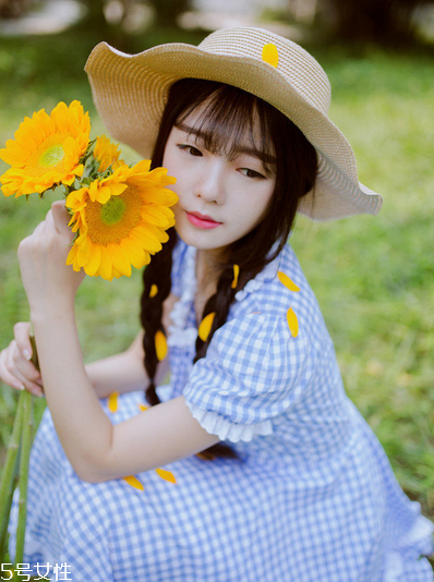紅花逍遙片多少錢一盒？紅花逍遙片物廉價美