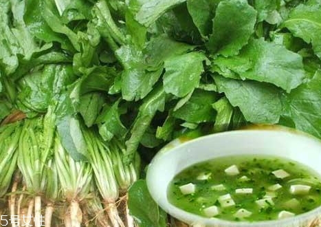 薺菜能和木耳一起吃嗎？一起吃好處多多