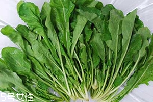 薺菜包餃子需要焯水嗎？小心有苦澀的味道