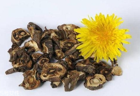 蒲公英茶超市有賣的嗎？去藥房看看