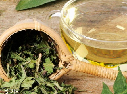 蒲公英茶能減肥嗎？要這樣搭配
