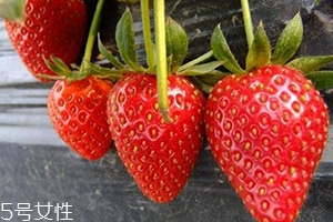 寶寶咳嗽可以吃草莓嗎？看是什么類型的咳嗽