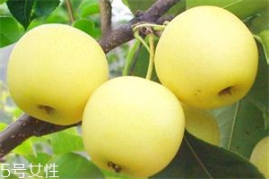 哺乳期吃梨有什么好處？梨子能做面膜