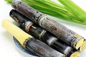 冬季吃甘蔗有什么好處？它被稱為冬季人參