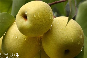 晚上吃梨子會(huì)胖嗎？梨不能和開(kāi)水一起吃