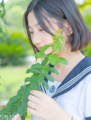 舒爾佳會反彈嗎？減肥不反彈的好方法