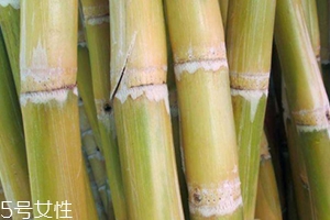 甘蔗吃多了對(duì)牙齒好嗎？有可能損傷牙齒