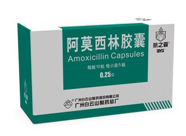 阿莫西林會導致胎兒畸形嗎？孕期禁服阿莫西林