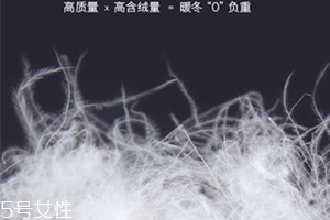 lets diet羽絨褲多少錢？lets diet羽絨褲保暖又修身