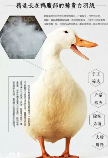 lets diet羽絨褲多少錢(qián)？lets diet羽絨褲保暖又修身