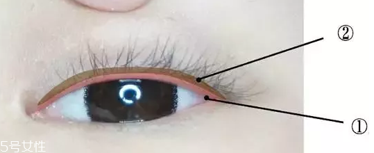內(nèi)眼線一定要畫嗎？畫好睫毛根部