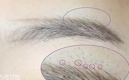 自然不做作的毛流眉怎么畫？紋理清晰有弧度