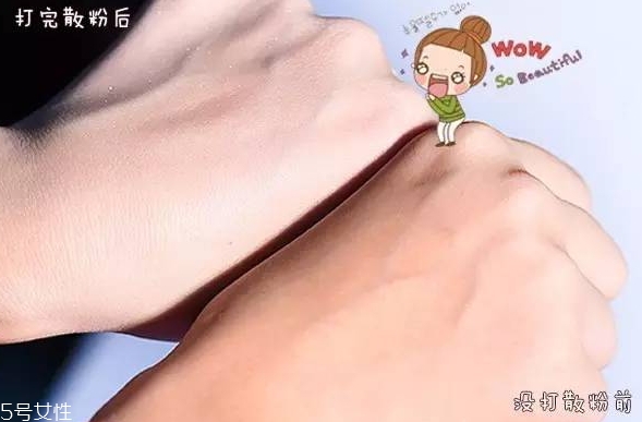 紀梵希散粉和悅詩風(fēng)吟散粉哪個好？