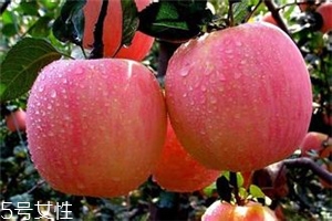 空腹吃蘋(píng)果好不好？一天最多吃幾個(gè)蘋(píng)果？