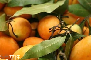 枇杷芒多少錢(qián)一斤？品質(zhì)越好價(jià)格越貴