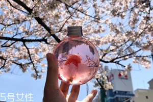 奈良金箔櫻花酒多少錢？奈良櫻花酒好喝嗎
