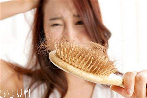 一天掉多少根頭發(fā)是正常的？為頭發(fā)加點(diǎn)營養(yǎng)