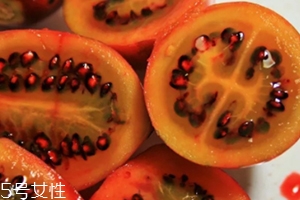 樹番茄多少錢一斤？