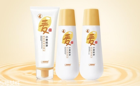 親潤和袋鼠媽媽哪個好用？孕婦專用品牌