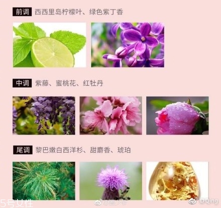瀘州老窖香水多少錢？你身上有他的白酒味