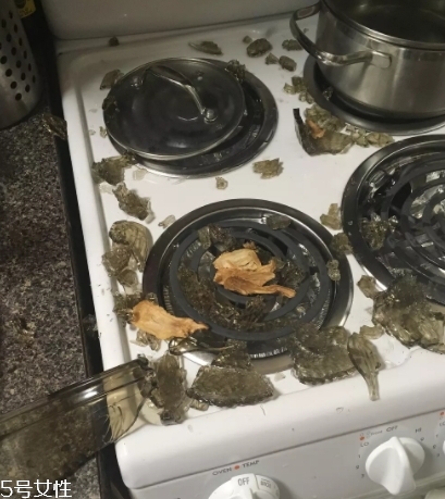 康寧鍋會爆炸嗎？請小心使用