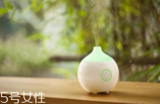 香薰什么味道好聞？佛系女孩推薦草木香