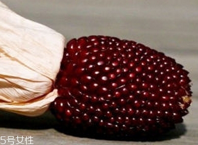 草莓玉米多少錢一斤？酷似草莓的玉米