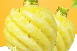 泰國迷你小菠蘿多少錢一斤？mini小菠蘿火遍泰國