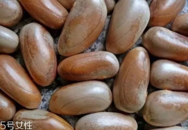 榴蓮蜜怎么吃？不同的吃法風(fēng)格