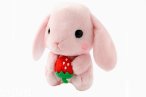AMUSE玩偶是哪個(gè)國(guó)家的牌子？東京御宅族文化商品