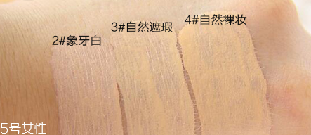 clio珂萊歐氣墊適合油皮嗎？一款合適的氣墊