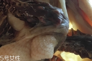 板鴨怎么做好吃？這樣做香氣撲鼻