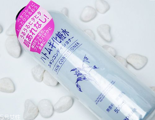 化妝水有哪幾種？日妝化妝水推薦