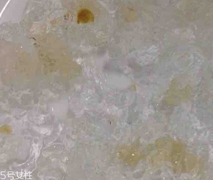 雪燕和桃膠能一起燉嗎？