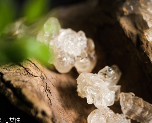 雪燕和銀耳哪個好？其實可以一起食用