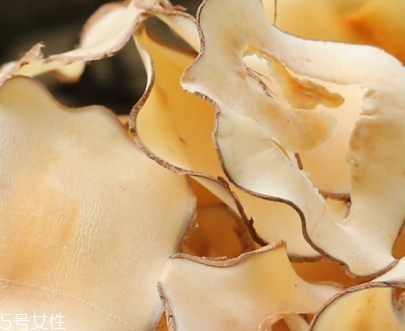 海底椰怎么吃？海底椰的做法