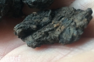 老茶頭怎么泡？泡錯(cuò)了就不好喝了