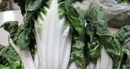 牛皮菜是發(fā)物嗎？牛皮菜有毒嗎