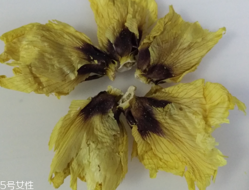 秋葵花怎樣曬干？自然風(fēng)干最佳