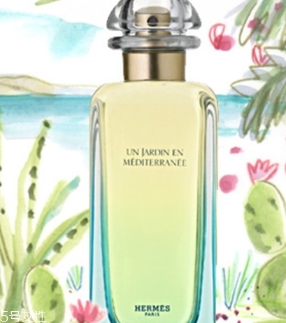 dior迪奧香水和愛馬仕香水哪個好？