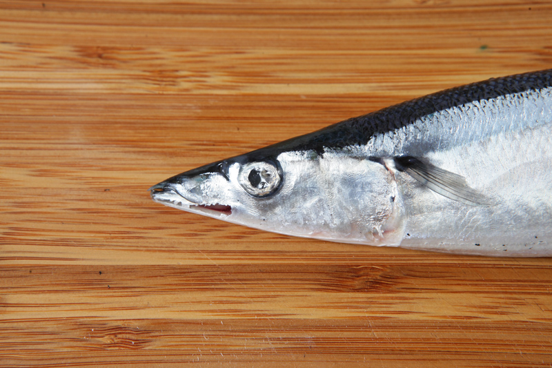 秋刀魚(yú)怎么處理？秋刀魚(yú)怎么挑選