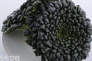 塔菜多少錢(qián)一斤？塔菜又稱(chēng)菊花菜