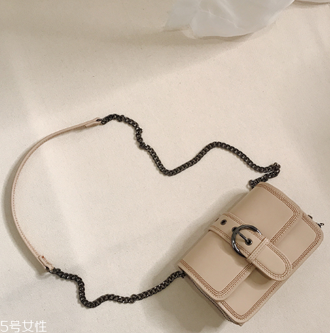 迷你包包什么款式好看？時(shí)髦精都在拎它