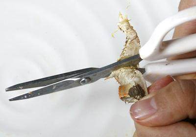 陽澄湖大閘蟹怎么吃？食陽澄湖大閘蟹注意事項