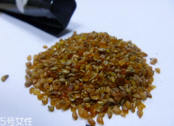 黑苦蕎茶苦嗎？苦蕎有苦卻不苦